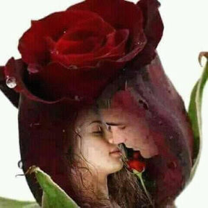 Meet your Posher, Angel